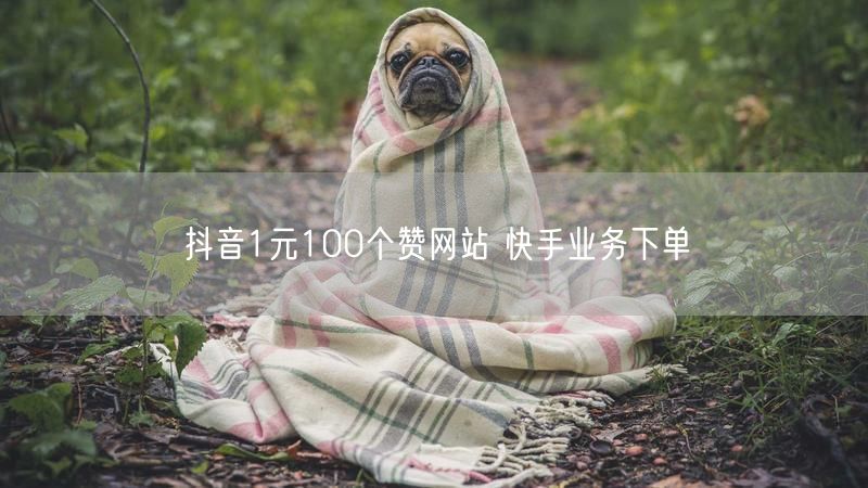 抖音1元100个赞网站 快手业务下单