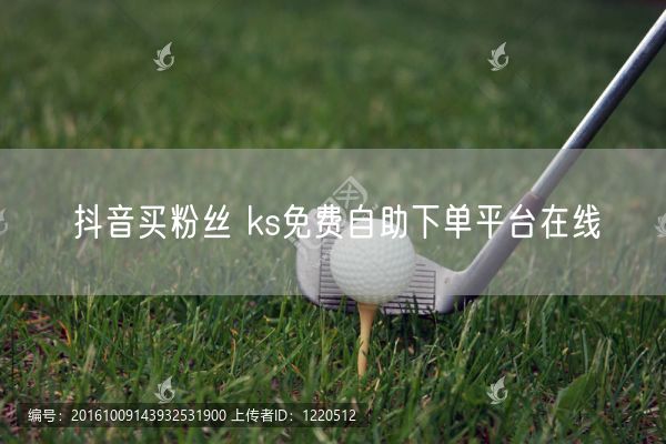 抖音买粉丝 ks免费自助下单平台在线