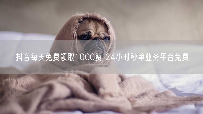 抖音每天免费领取1000赞 24小时秒单业务平台免费