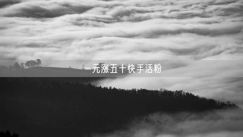 一元涨五十快手活粉