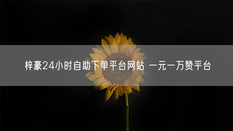 梓豪24小时自助下单平台网站 一元一万赞平台