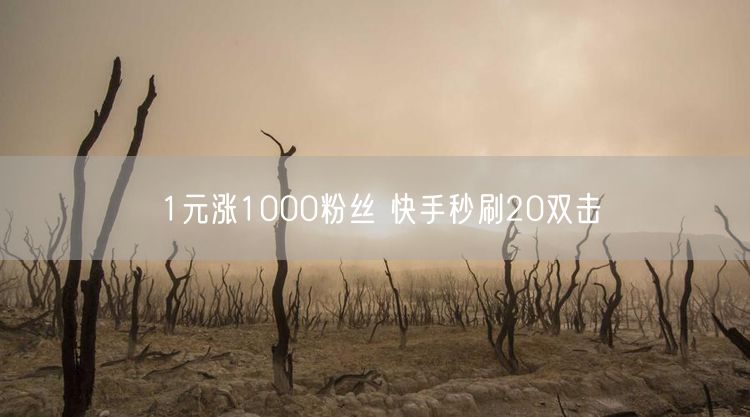 1元涨1000粉丝 快手秒刷20双击