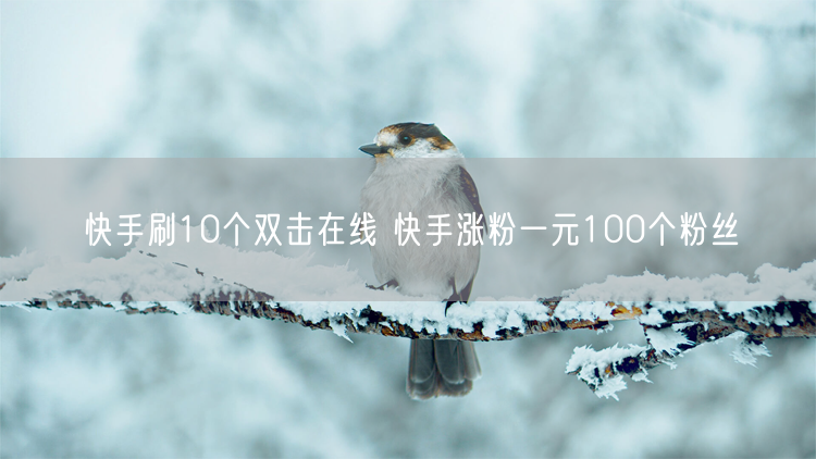 快手刷10个双击在线 快手涨粉一元100个粉丝