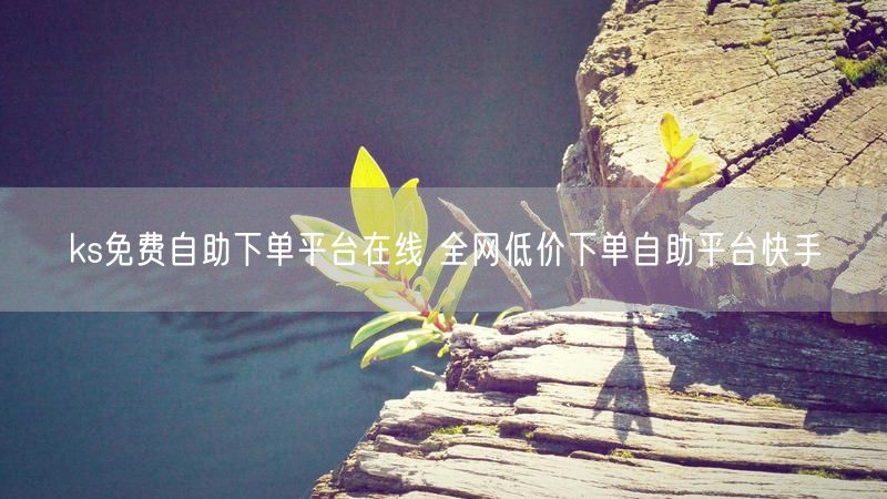 ks免费自助下单平台在线 全网低价下单自助平台快手