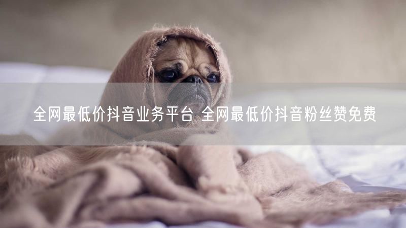 全网最低价抖音业务平台 全网最低价抖音粉丝赞免费