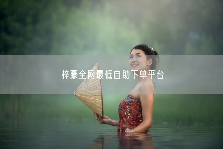梓豪全网最低自助下单平台
