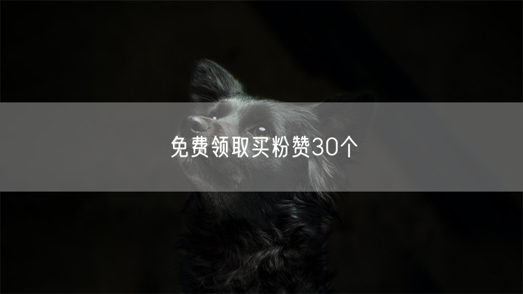 免费领取买粉赞30个