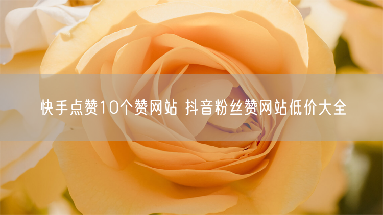 快手点赞10个赞网站 抖音粉丝赞网站低价大全