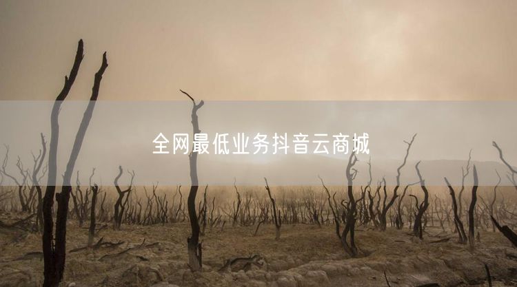 全网最低业务抖音云商城