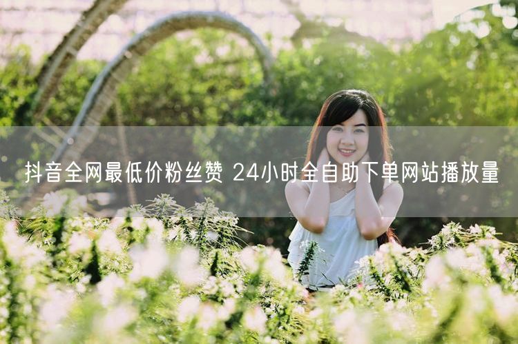 抖音全网最低价粉丝赞 24小时全自助下单网站播放量