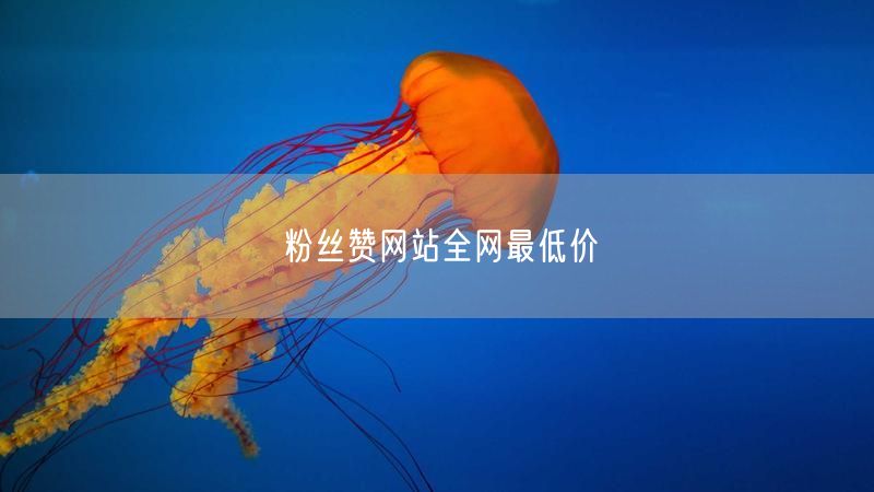 粉丝赞网站全网最低价