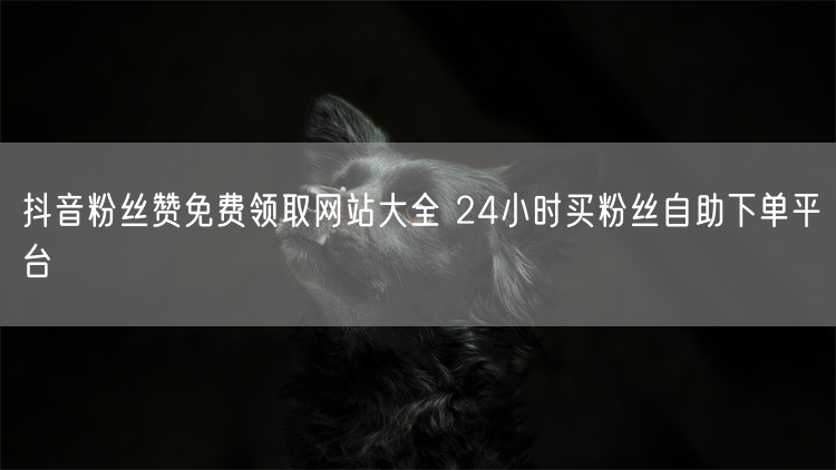 抖音粉丝赞免费领取网站大全 24小时买粉丝自助下单平台