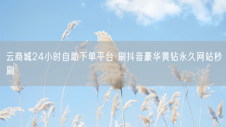 云商城24小时自助下单平台 刷抖音豪华黄钻永久网站秒刷