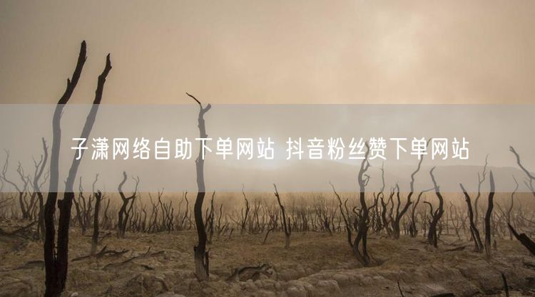 子潇网络自助下单网站 抖音粉丝赞下单网站