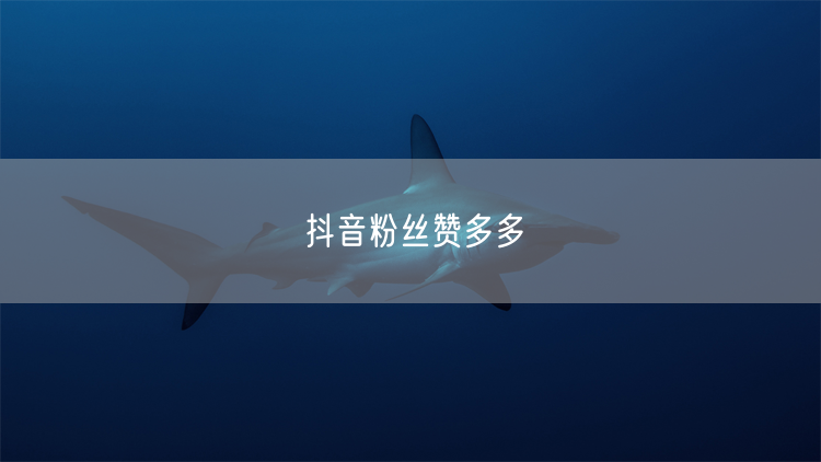 抖音粉丝赞多多