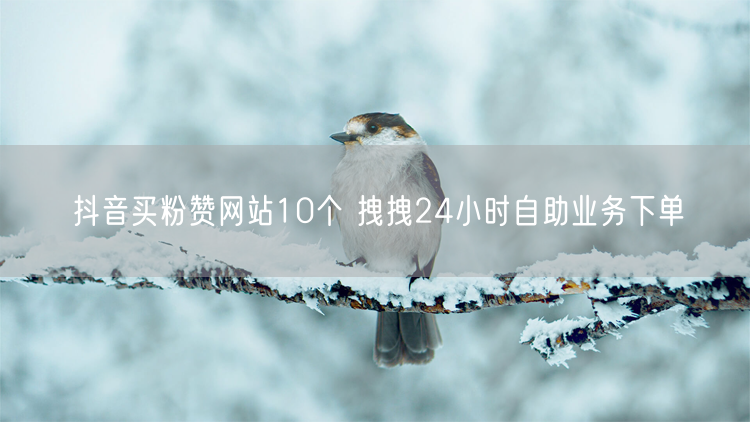 抖音买粉赞网站10个 拽拽24小时自助业务下单