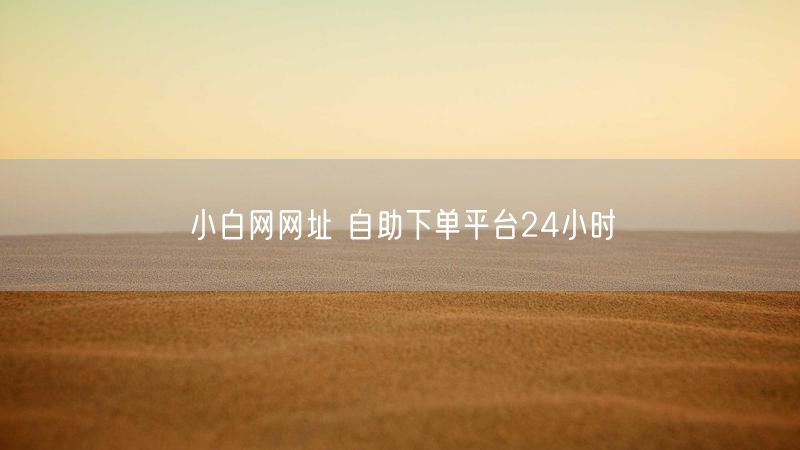 小白网网址 自助下单平台24小时