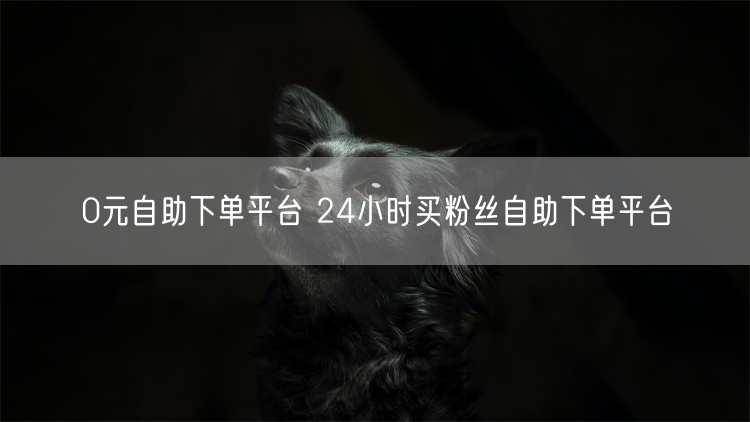 0元自助下单平台 24小时买粉丝自助下单平台