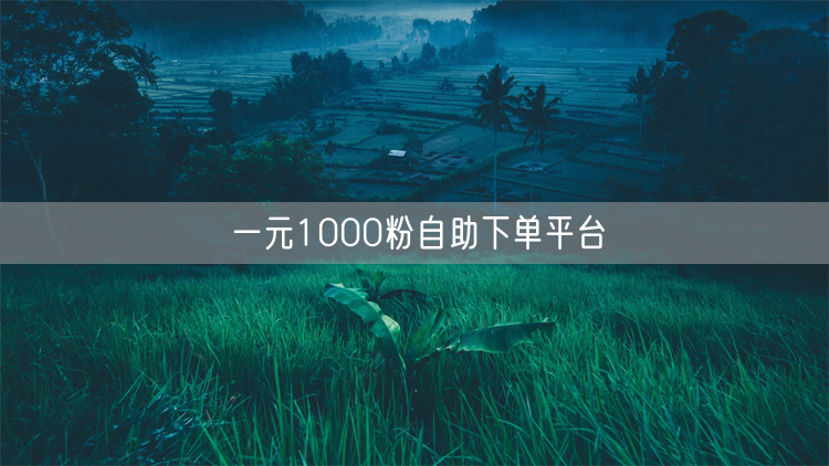 一元1000粉自助下单平台