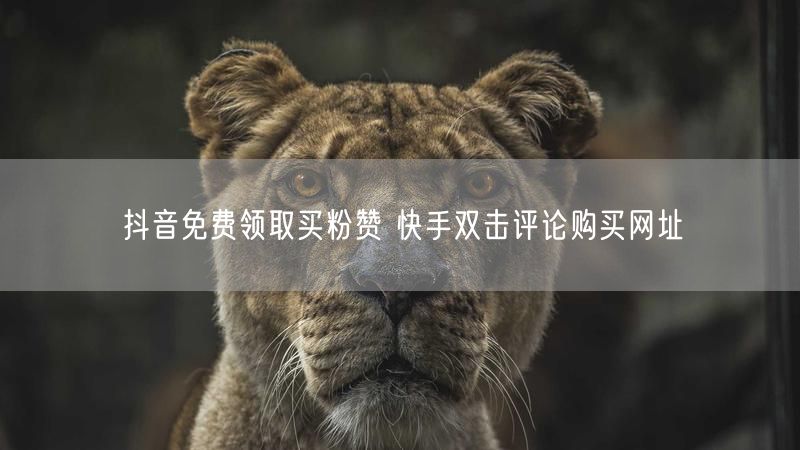抖音免费领取买粉赞 快手双击评论购买网址