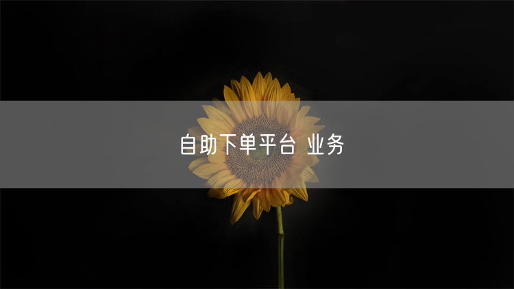 自助下单平台 业务