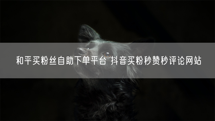 和平买粉丝自助下单平台 抖音买粉秒赞秒评论网站