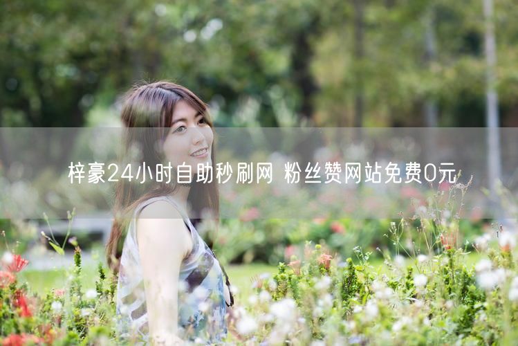 梓豪24小时自助秒刷网 粉丝赞网站免费0元