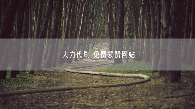 大力代刷 免费领赞网站