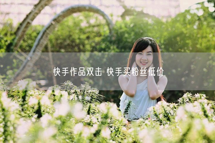 快手作品双击 快手买粉丝低价