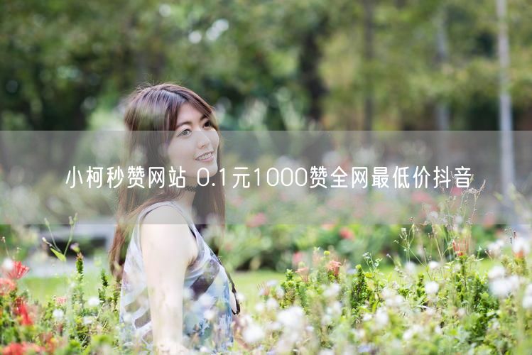 小柯秒赞网站 0.1元1000赞全网最低价抖音