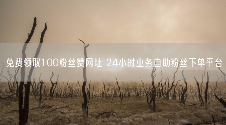 免费领取100粉丝赞网址 24小时业务自助粉丝下单平台