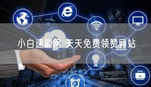 小白速刷网 天天免费领赞网站