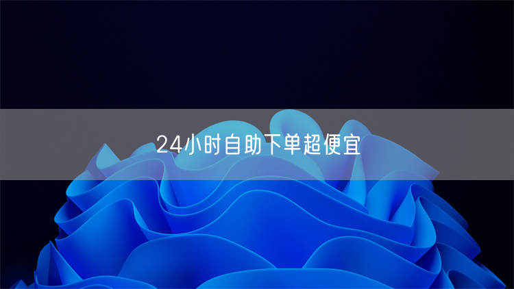 24小时自助下单超便宜