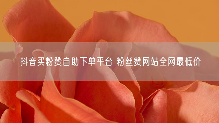 抖音买粉赞自助下单平台 粉丝赞网站全网最低价
