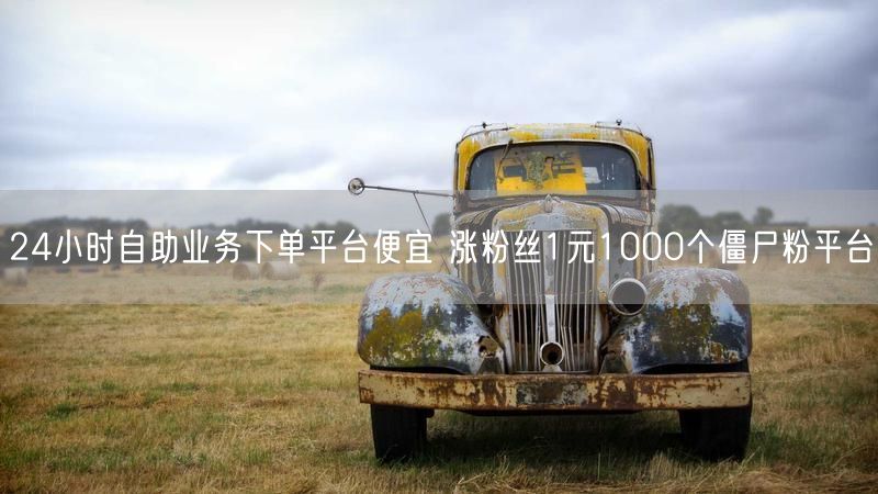 24小时自助业务下单平台便宜 涨粉丝1元1000个僵尸粉平台