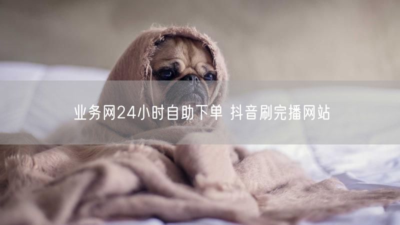 业务网24小时自助下单 抖音刷完播网站