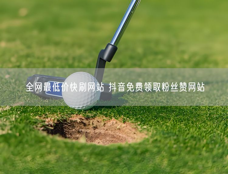 全网最低价快刷网站 抖音免费领取粉丝赞网站