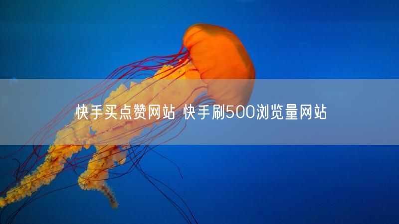 快手买点赞网站 快手刷500浏览量网站