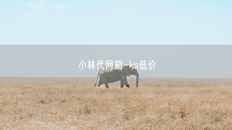 小林代网刷-ks低价
