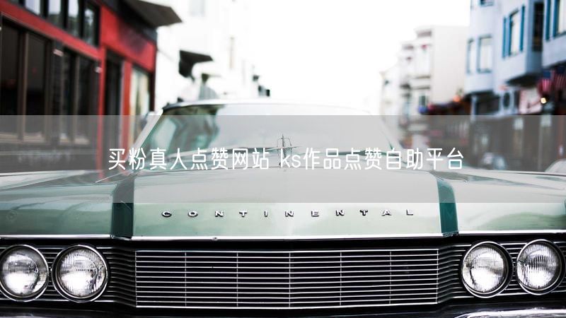 买粉真人点赞网站 ks作品点赞自助平台
