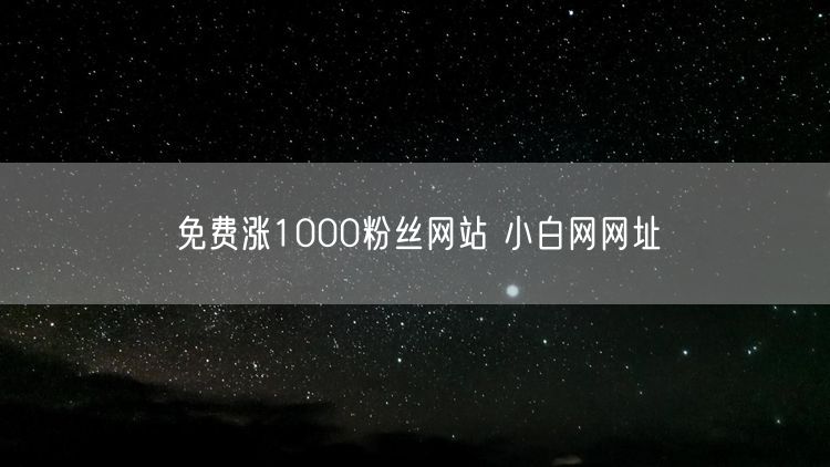 免费涨1000粉丝网站 小白网网址