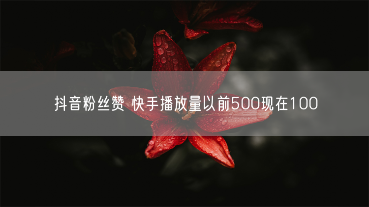 抖音粉丝赞 快手播放量以前500现在100