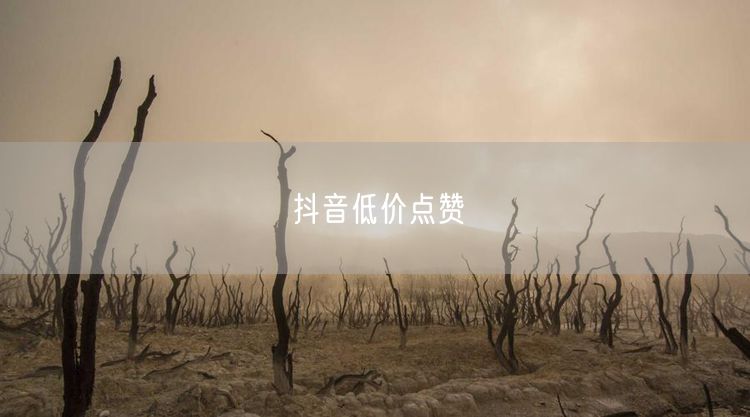 抖音低价点赞