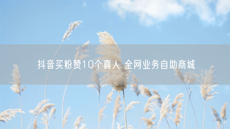 抖音买粉赞10个真人 全网业务自助商城
