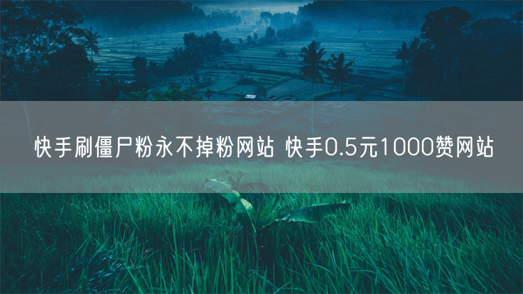 快手刷僵尸粉永不掉粉网站 快手0.5元1000赞网站