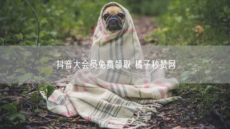 抖音大会员免费领取 橘子秒赞网