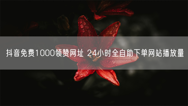 抖音免费1000领赞网址 24小时全自助下单网站播放量