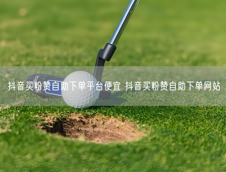 抖音买粉赞自助下单平台便宜 抖音买粉赞自助下单网站