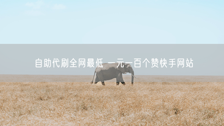 自助代刷全网最低 一元一百个赞快手网站