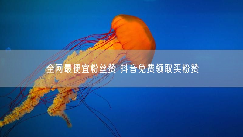 全网最便宜粉丝赞 抖音免费领取买粉赞